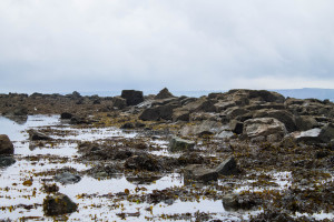 泪水与荣光!亚洲电竞俱乐部榜,他们是如何做到的! 泪水与荣光!亚洲电竞俱乐部榜,他们是如何做到的!